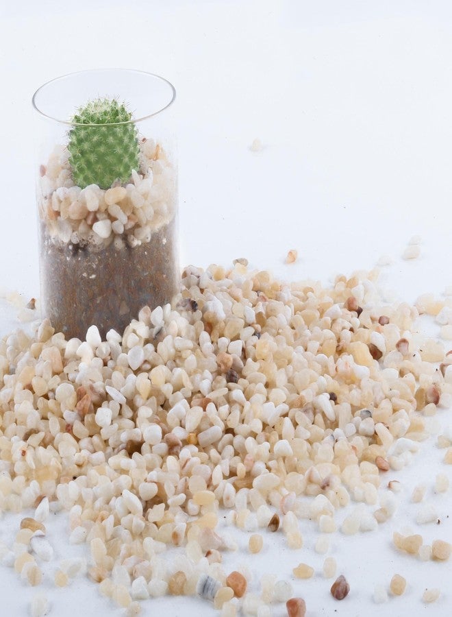 CJGQ 2.4lb Aquarium Gravel for Plants, 1/5Inch Outdoor Decorative River Rocks for Succulents and Cactus Landscaping, Garden Plant Rocks Natural Small Rocks Pea Gravel for Fish Tank Vases Terrarium - Image 1